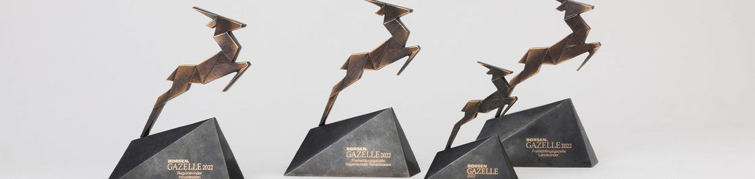 BIBS wins three Børsen Gazelle awards - BIBS