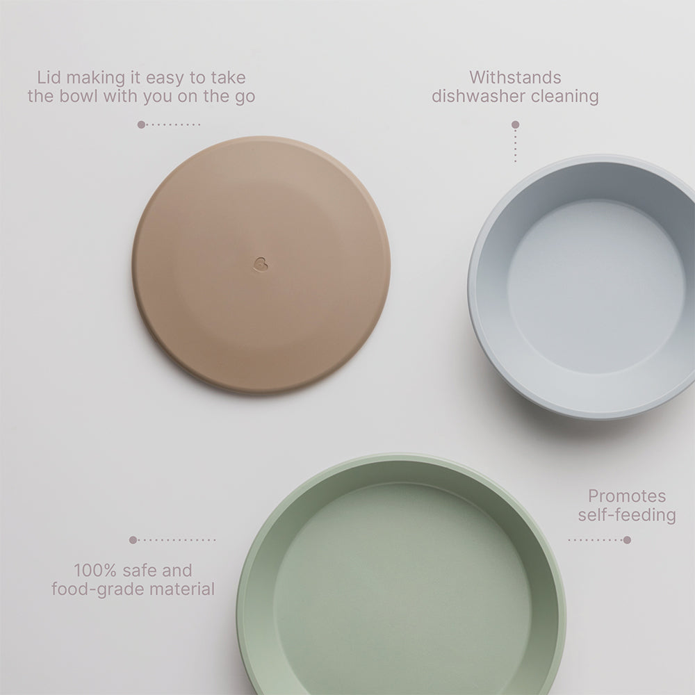 Dinner Plate Set Sage